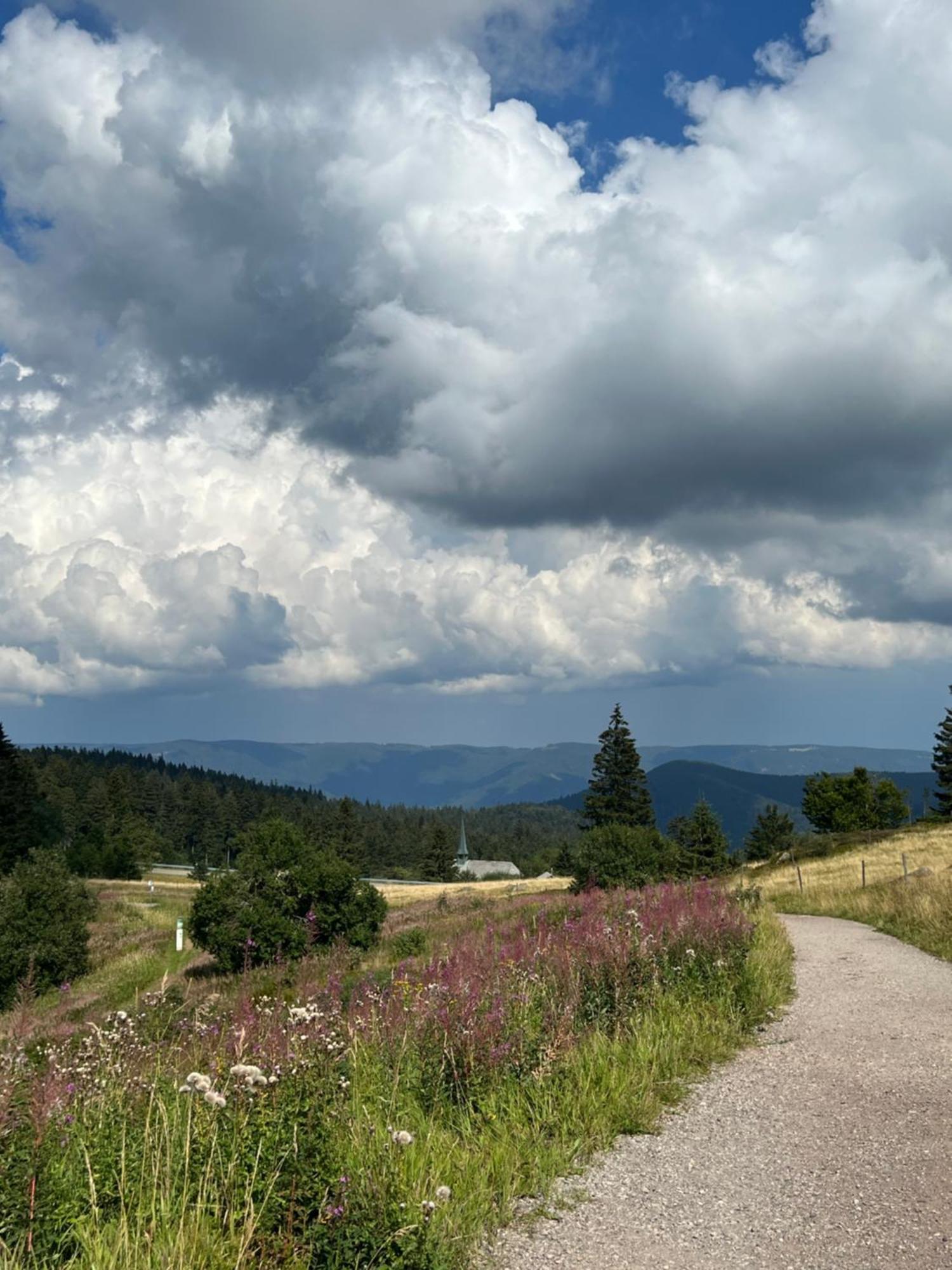 Bergwelt Kandel Hotel & Eventlocation Waldkirch Eksteriør billede