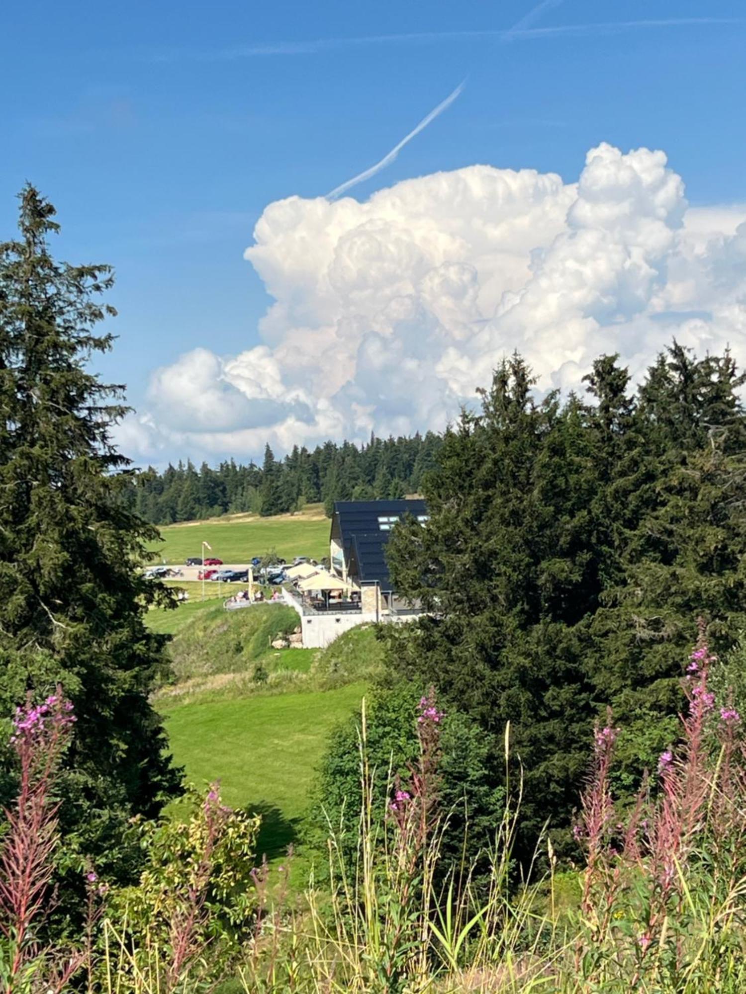 Bergwelt Kandel Hotel & Eventlocation Waldkirch Eksteriør billede